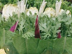 -清真军邺·金富苑肥牛(石坡街旗舰店)