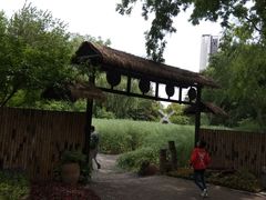 -圩墩遗址公园