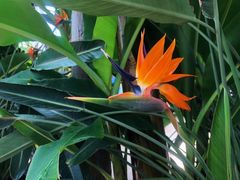 -国家植物园南园