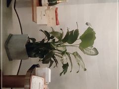 -斯普汇生蚝牛排馆(中骏世界城店)