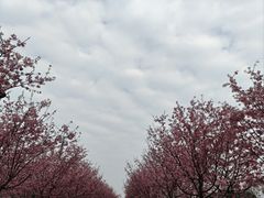 -凤凰沟景区