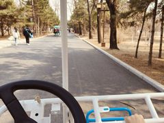 -北陵公园