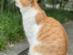 -成都杜甫草堂博物馆