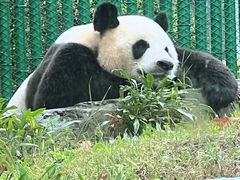 -大连森林动物园