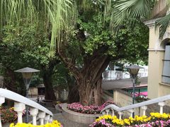 -龙环葡韵住宅式博物馆