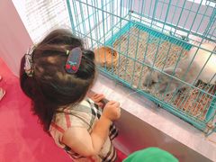 -东浩兰生上海世博展览馆