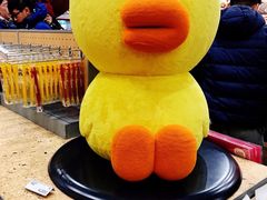 -line friends(明洞旗舰店)