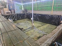 -小象钓虾·营地烧烤(洛溪店)