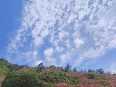 -木兰云雾山