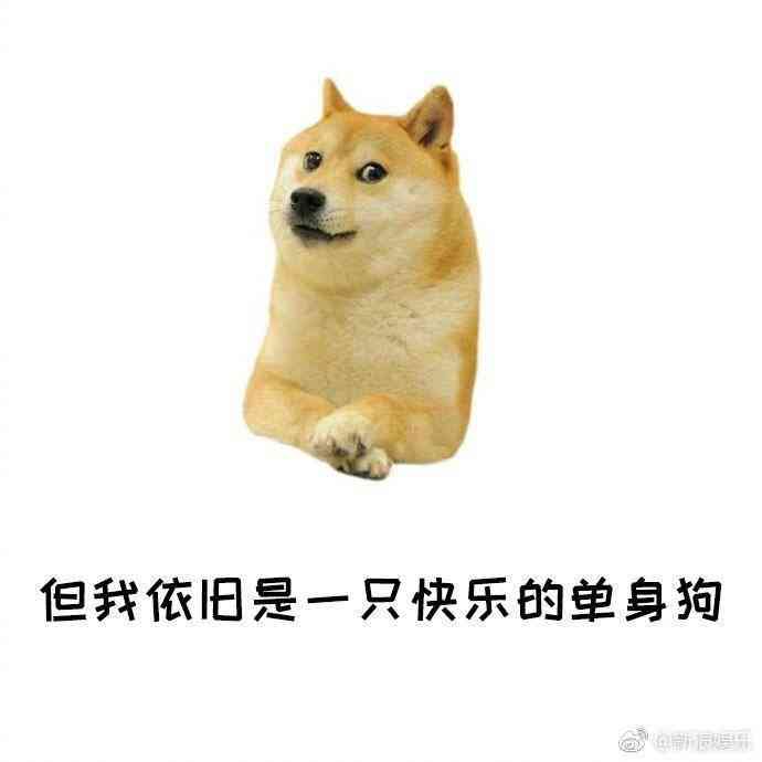  !doctype html> html lang=