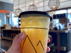 茉莉白桃-去茶山(新光里店)