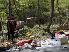 -大连天门山国家森林公园