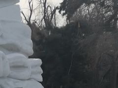 -长春市南湖公园