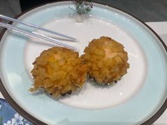 -丁老爷子苏香圆