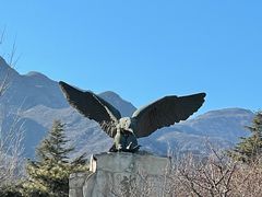 -阳台山自然风景区