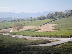 -宜兴龙背山森林公园