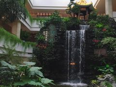 -白天鹅宾馆·流浮阁咖啡厅