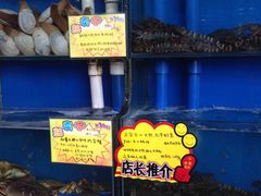 水产区-蚝专家(北滘店)