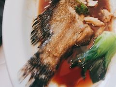 -顺峰(农展馆店)