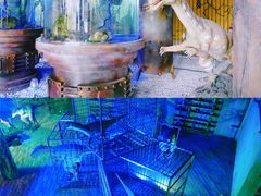 -龙谷湾旅游休闲度假区