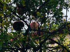 -观象二路基督教堂