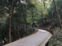 -伯先公园