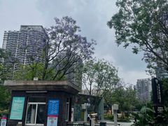 -观音桥步行街