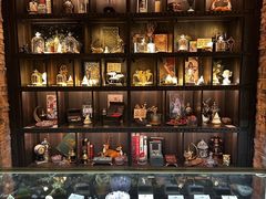-雪灵魔法世界SHELLY’S TAROT(大良桂畔里店)