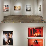 成都看展|免费🆓《有为》青年当代艺术展
