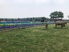 -溱湖国家湿地公园