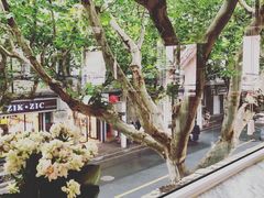 -蝶舍·MAISON PAPILLON