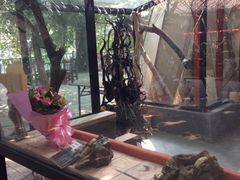 iphone_upload_pic-茂德公草堂