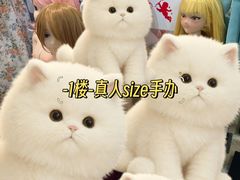 -秋叶原电器街
