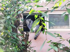 -青藏高原野生动物园