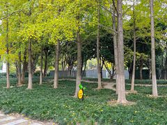 -宝岛公园