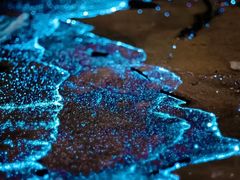 -西涌国际滨海旅游区