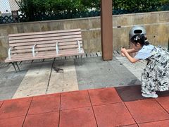 -香港大学