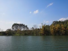 -扬美古镇景区