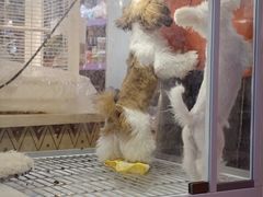 -天河领展广场