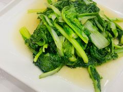 -小耕园