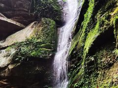 -碧峰峡风景区