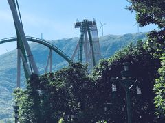 -鹦鹉过山车