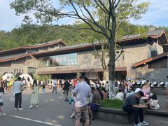 -都江堰中华大熊猫苑
