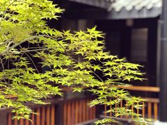 -鱼桥巷·美学川菜