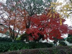 -上海市保健医疗中心