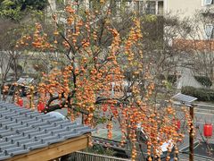 -田园印象·成都土菜院子(华阳店)