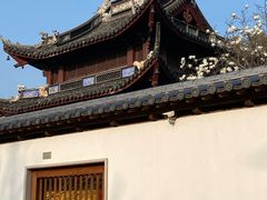 -家烧面馆【南山路知名经典面食】