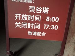 -灵谷景区
