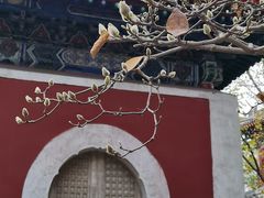 -北京艺术博物馆(万寿寺)