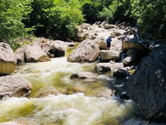 -青峰峡国家森林公园